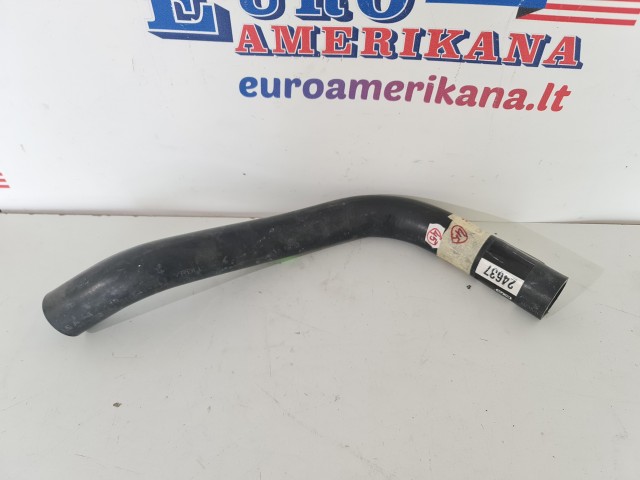 Radiator Hose